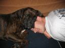 calin_avec_le_maitre_05_07_2006.JPG
