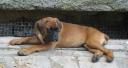 sieste1_03_07_2006_.JPG