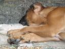 zoomsieste_03_07_2006.JPG