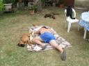 15_08_2006_en_pleine_activite.JPG