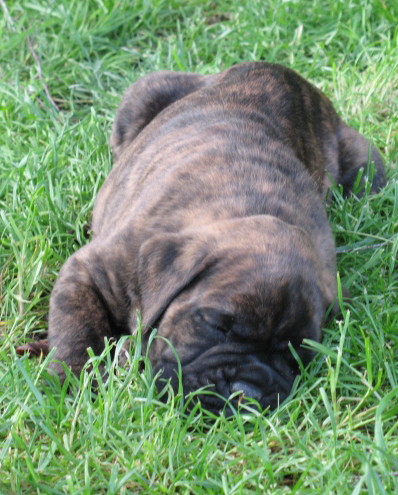Balzac_repos.jpg